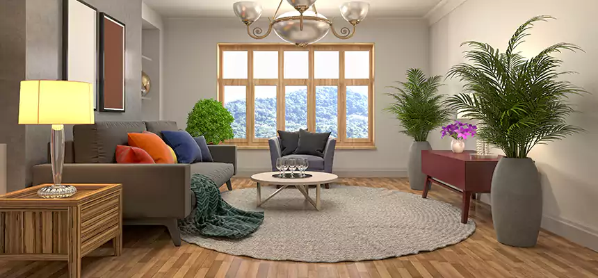 Local Water Mitigation in Plymouth