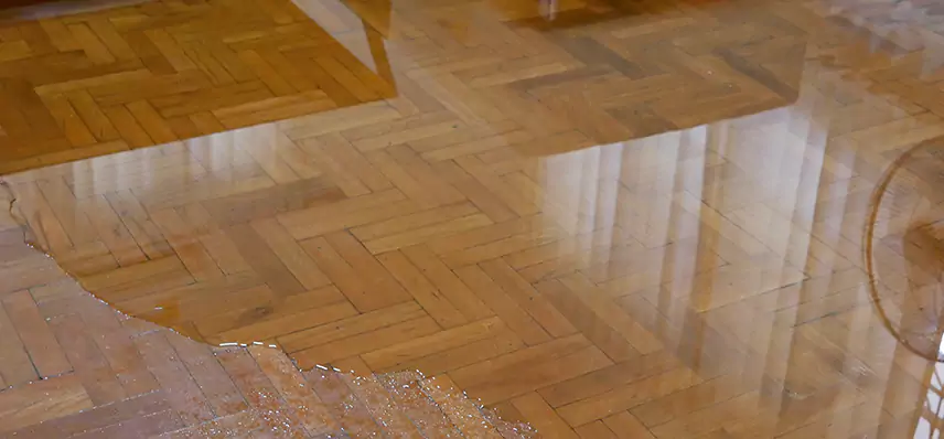 Laminate Wood Floor Water Damage Repair in Plymouth