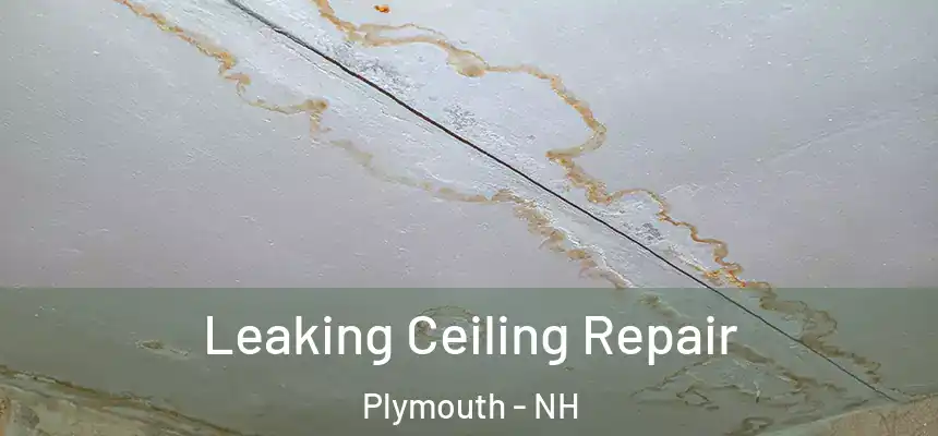  Leaking Ceiling Repair Plymouth - NH
