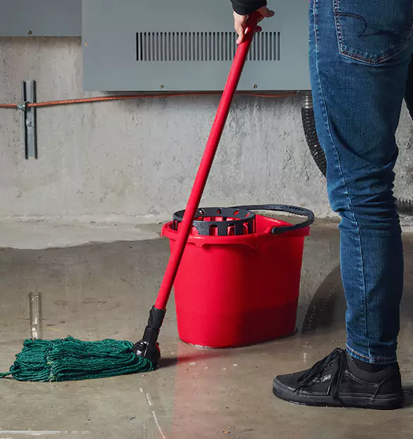 Trusted Sewage Cleanup Company in Plymouth, NH