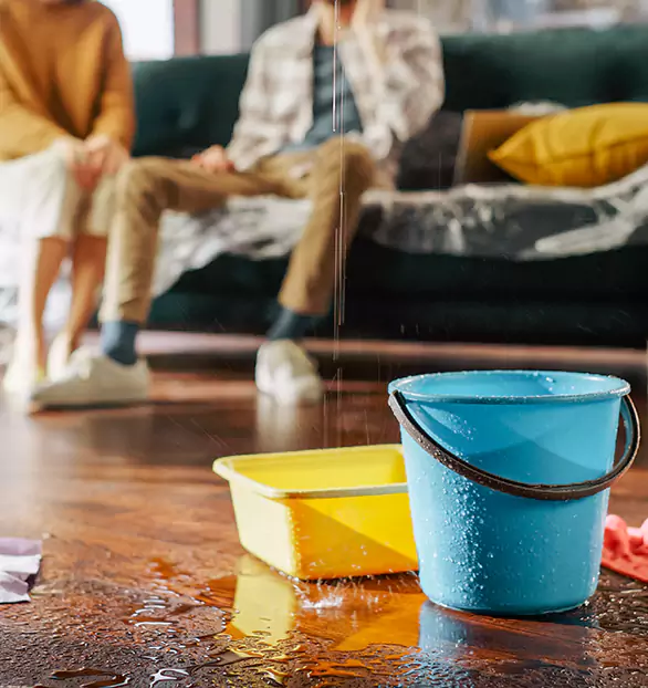 Trusted Water Remediation Company in Plymouth, NH